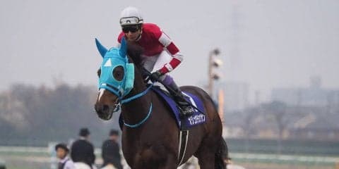 【阪神スプリングJ】オジュウチョウサン障害復帰で重賞制覇！