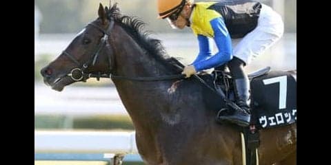「持ったまま８馬身差」の衝撃。ヴェロックスが再びクラシック候補へ