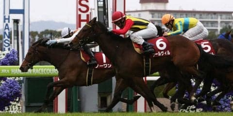 【フィリーズR】プールヴィルとノーワンが同着でクラシックの権利