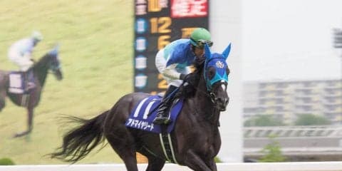 アドマイヤリード号が競走馬登録抹消