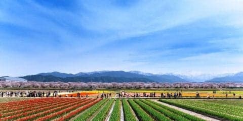 大人から子どもまで楽しめるスポーツ「春の四重奏フォトロゲin朝日町」4月開催