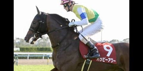 過去の傾向＋消去法→激走。ファルコンＳは評価落ち２頭が狙い目だ