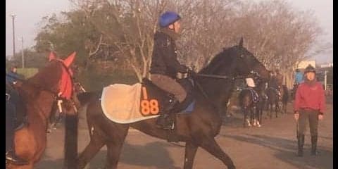 【フラワーC】エフティイーリス 蛯名「動きは今週の方が良かった」