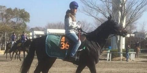 【フラワーC】コントラチェック 丸山「大人しくて乗りやすい」