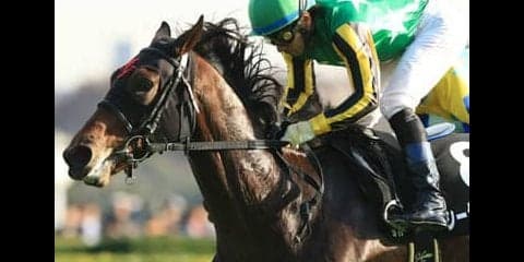 大荒れの前哨戦→スプリングＳも濃厚。今の中山好き３頭が波乱を生む