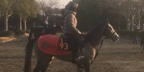 【スプリングS】エメラルファイト  ホーム中山で権利取りなるか