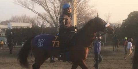 【スプリングS】ディキシーナイト  国枝師「馬が自信をもっている感じ」