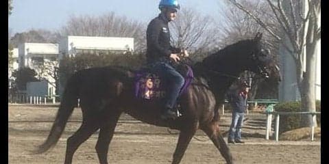 【ドバイ遠征】レイデオロ  ルメール「馬が大人になったね」