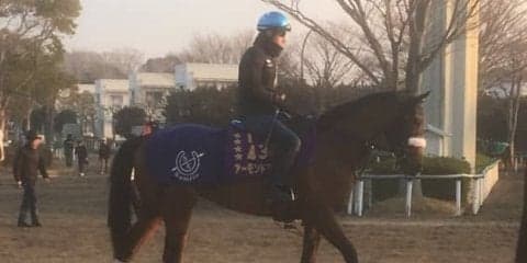 【ドバイ遠征】アーモンドアイ  ルメール「コンディションが上がってきています」