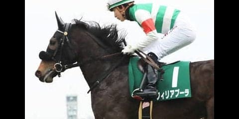 桜花賞へ直行するフィリアプーラ。異例のローテはもはや現代の定番か