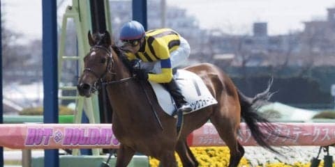 【中山5R】シングフォーユーが逃げ切り！母にシングライクバード