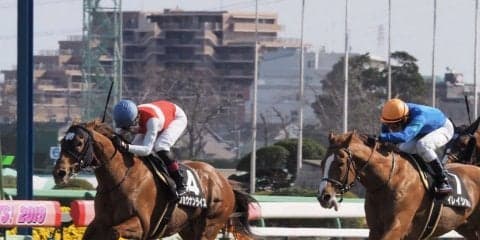 【幕張S】三浦皇成が好調！6番人気ショウナンライズを勝利に導く