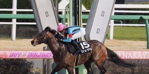 【千葉S】初ダートも関係なし！シュウジが力の違いで勝利