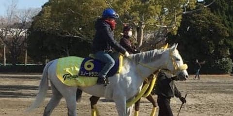 藤田菜七子がスノードラゴンと初コンタクト