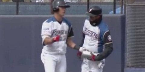 日本ハム白村が公式戦初安打　燕館山から右前打、野手転向2戦4打席目で