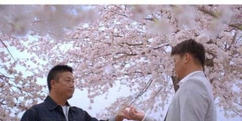 なぜ中日松坂を伊右衛門CMに起用？　担当者の思い「平成の怪物で終わるな」