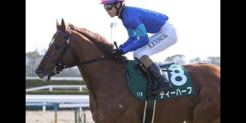 活きのいい４歳馬が有力な高松宮記念は、あえてベテランで勝負すべし