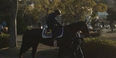 【高松宮記念】ナックビーナス  昨年3着の実績