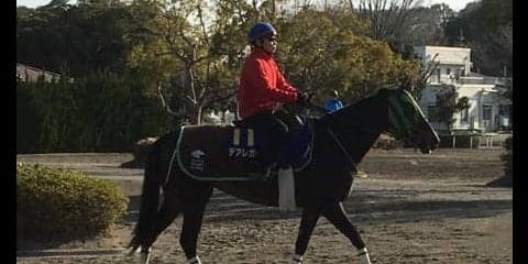 【高松宮記念】デアレガーロ  池添「折り合いがポイント」