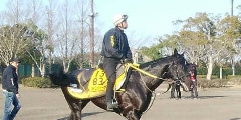 【マーチS】ハイランドピーク  中山ダートでは3勝！本領発揮なるか