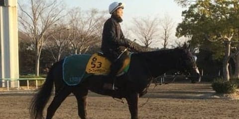 【日経賞】ゴーフォザサミット 藤沢和「この距離は合う」