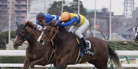 【ミモザ賞】ハービンジャー産駒 エアジーンが2勝目