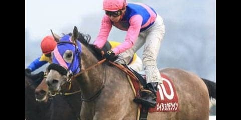 奇跡の子メイショウテンゲンの感動話。クラシックで再びドラマを生む