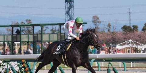 【大寒桜賞】ルーラーシップ産駒 リオンリオンが2勝目