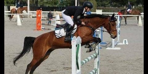 団体総合６連覇達成！　新チーム好発進／東京六大学大会