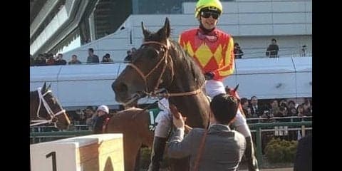 【マーチS】田辺「フワッとしていました」レース後 ジョッキーコメント