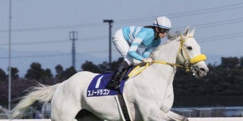 スノードラゴン号が競走馬登録抹消