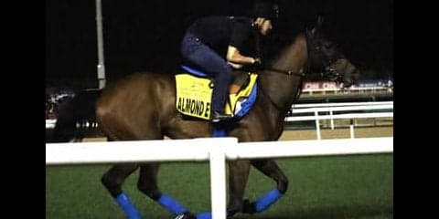 アーモンドアイがドバイＷＣに出走。有力な日本馬のリアル評価に迫る