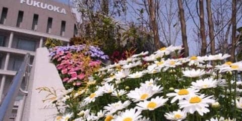 ヤフオクドームにホークスガーデン誕生　工藤監督「季節ごとの花々で癒やされて」