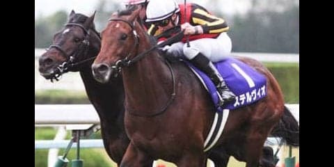 好メンバーが集結した大阪杯。人気の盲点となる３頭で花見を豪勢に！