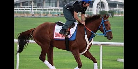 ドバイＷＣのヤバイ穴馬。砂漠のカーニバルで大穴の嵐が吹き荒れるか
