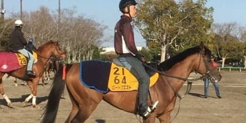 【ダービー卿CT】ロードクエスト 得意コースで4つ目のタイトル目指す