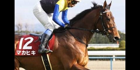 大荒れ予報の春のＧＩ戦線。大阪杯もリベンジ期す４頭で帯封ゲットだ