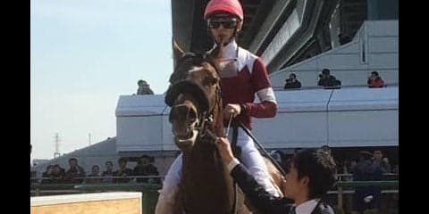 日曜中山１０Ｒ・伏竜Ｓはデアフルーグが無傷の３連勝で１番人気にこたえる