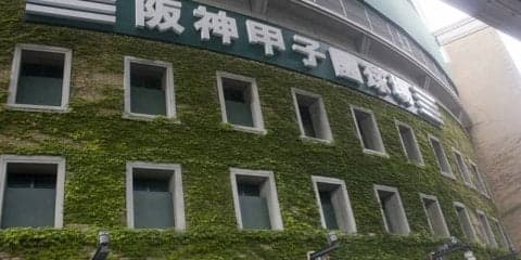 センバツで問題再燃、「サイン盗み問題」の歴史と対策とは？