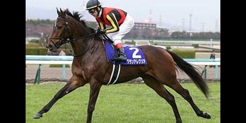 桜花賞は、現役最強馬のノウハウを得たグランアレグリアが巻き返す