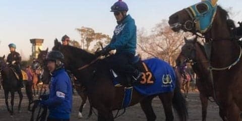 【ニュージーランドT】ヴィッテルスバッハ 池上師「ゲートがカギ」