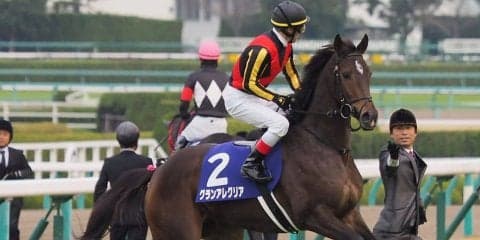 【桜花賞】枠順と見どころ グランアレグリアは4枠8番