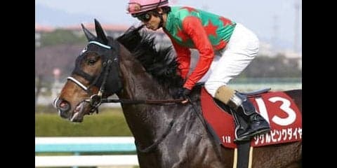 ヒントはチューリップ賞組。令和を目前に桜花賞で美しく舞う穴馬３頭