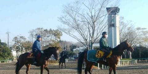 【桜花賞】グランアレグリア 藤沢和師「素晴らしい能力の持ち主」