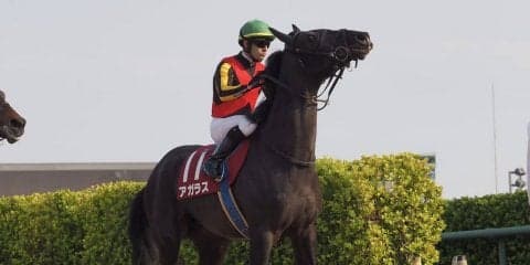 【ニュージーランドT】ルメール「超スローペース…」1番人気アガラスは4着まで