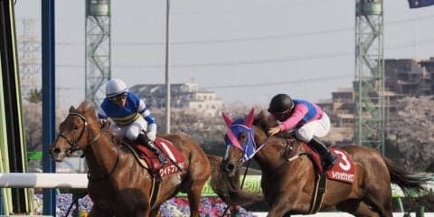 【ニュージーランドＴ】ワイドファラオが逃げ切り！スローを演出して押し切る