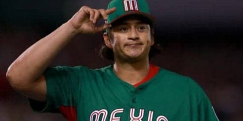 元ハム、阪神のメンドーサ、母国メキシカンリーグ・ユカタンと契約　球団発表