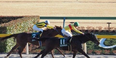 【東京スプリント】藤田菜七子 コパノキッキングは3枠6番