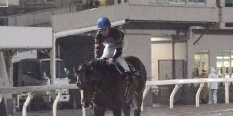 【東京スプリント】森泰斗「菜七子ちゃんを負かして…」キタサンミカヅキ9歳でも盛ん！