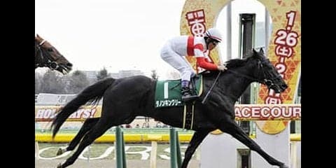 皐月賞はダノンキングリーが狙い目。血統、馬場適性と好材料ばかりだ